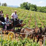 Primavera Enogastronómica de la Ruta del Vino Ribera del Guadiana