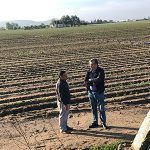 El informe elaborado por dichos técnicos será remitido a la Delegación del Gobierno para en su caso solicitar, si se estima, la declaración de zona catastrófica y las compensaciones económicas que puedan dar lugar a dicha cualificación.