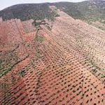 El objeto de la transformación en regadío de esta zona de la comarca de La Serena es establecer riegos de apoyo, preferentemente al cultivo del olivar existente